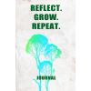 reflect-grow-repeat-ex